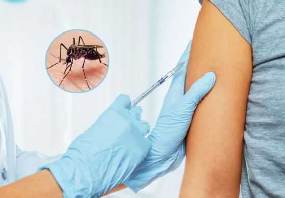 La Provincia va a vacunar contra el dengue y desde la Cuarta piden que no sea solo para el conurbano