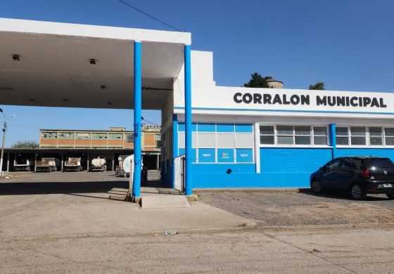  Cambios en el Gabinete: qué movimiento hizo Golía