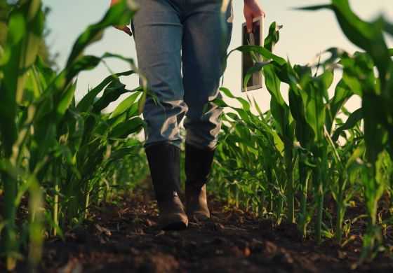  El Municipio anunció importante beneficio para el sector agropecuario