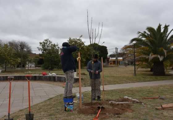 Los motivos que llevaron a un Municipio de la Cuarta a quedar entre los primeros 15 de un ranking internacional