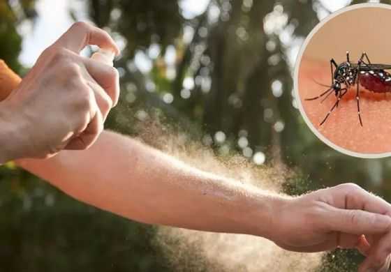 Un Municipio de la región lanzó el "Plan Estratégico contra el Dengue 2025": de qué se trata y por qué es importante