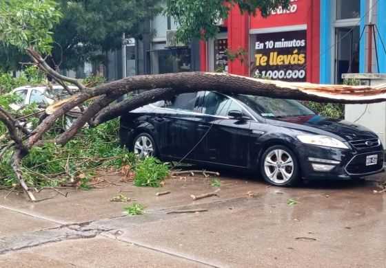 Otro terrible temporal golpeó a la Cuarta: Bragado, una de las ciudades más afectadas