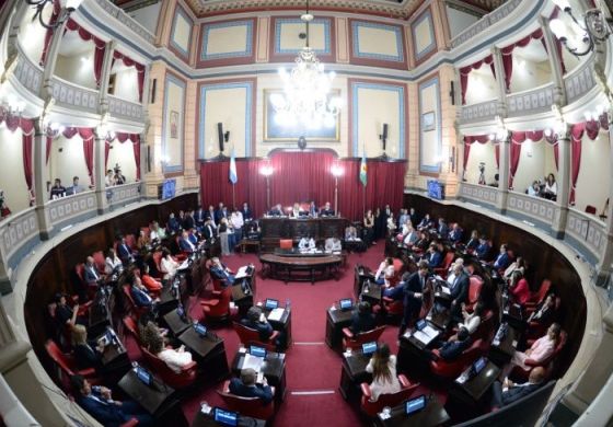 Con respaldo de la Cuarta, una senadora presentó un proyecto para que las elecciones sean concurrentes