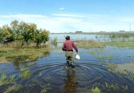 Productores rurales de la Cuarta y otras regiones unifican reclamo con destino a la Rosada
