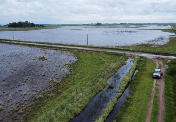 Desde la Cuarta le piden a Kicillof que declare la emergencia agropecuaria en 4 distritos de la región