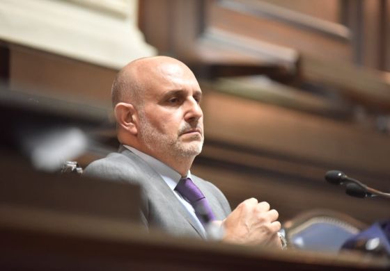 Alexis Guerrera sobre el debate por las PASO: "Tenemos que resolver el calendario electoral"