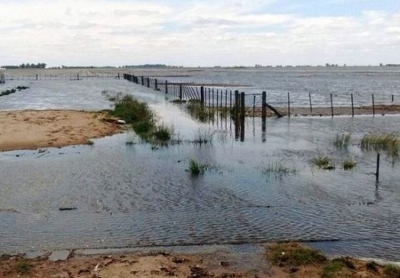 Desde un distrito peronista de la Cuarta reclaman la Emergencia Agropecuaria