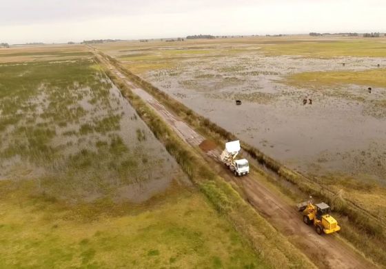 Intendente fustigó a Milei por el freno de las obras en plena crisis climática: "Es su culpa"