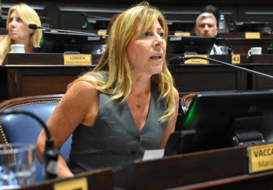 "Rejunte de medidas aisladas": Vaccarezza criticó la suspensión de retenciones a los granos