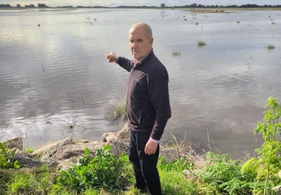 "Lo espero de acá a un año", el desafío de Pablo Zurro a Javier Milei por una obra clave para la Cuarta