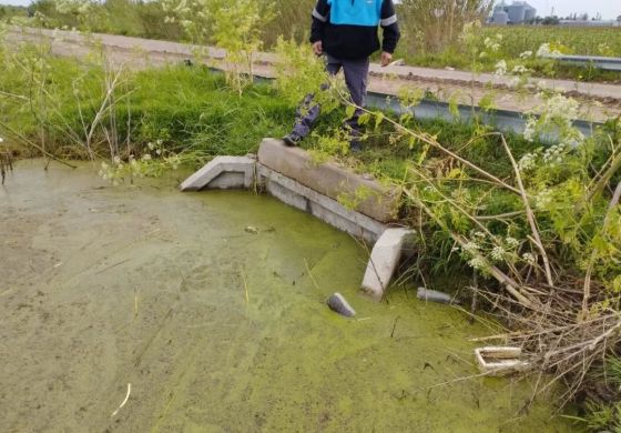 Sin paciencia para los vivos: en Casares denunciaron el taponamiento de alcantarillas en medio de la crisis hídrica