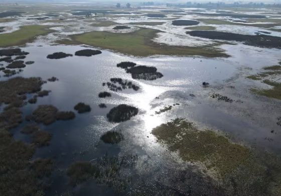 Productores de 8 municipios de la Cuarta podrán acceder a asistencia por las inundaciones: cuáles con los requisitos