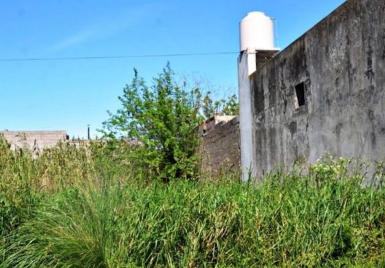  El Municipio presiona a propietarios de lotes y anticipa sanciones: por qué motivo
