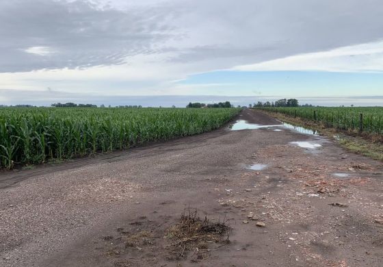 Ante nuevas tormentas, la Sociedad Rural pide acción de Municipio y concejales en Nueve de Julio
