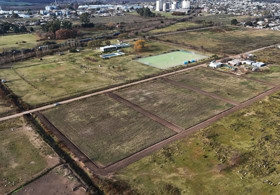 "Chacabuco para Todos II": Golía da un nuevo paso en la urbanización de 54 lotes 