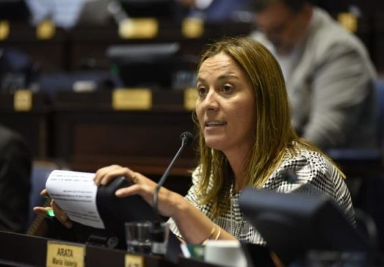 "Cuánto más podrías pagar de gas": Arata expone el costo que tendría eliminar la Zona Fría en Junín