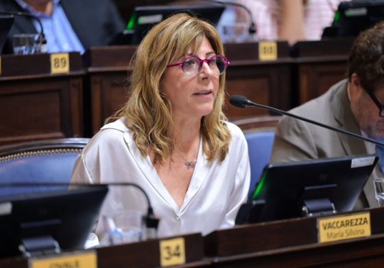 "Menos fotos y más soluciones concretas": diputada de la Cuarta pidió reglas claras para el campo