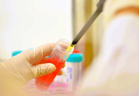 Ciencia y tecnología de la Cuarta para la Cuarta: los tres proyectos que va a financiar al UNNOBA