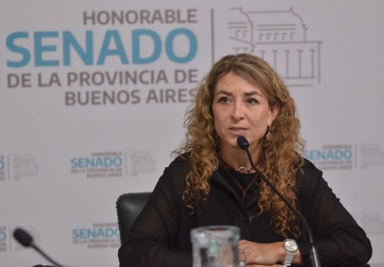Senadora radical tiró leña al fuego de la interna: "Nos diferenciamos de los que sólo piensan en acuerdo de cúpulas"